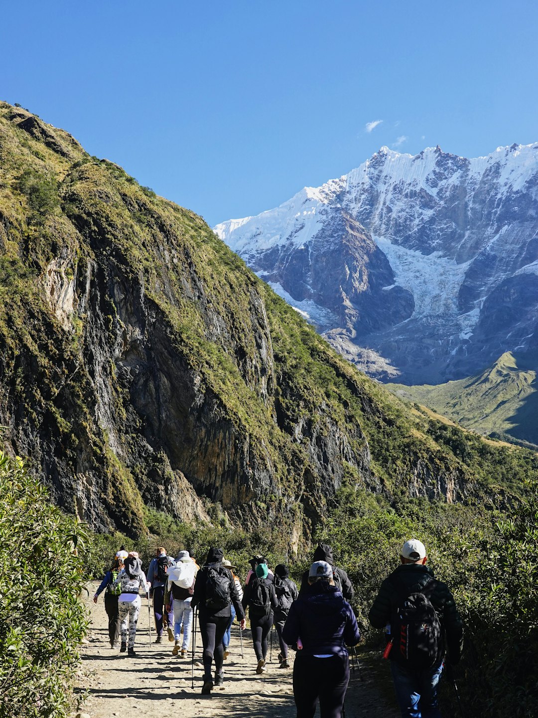 Escursionisti camminano con bastoncini da trekking verso una catena montuosa innevata.